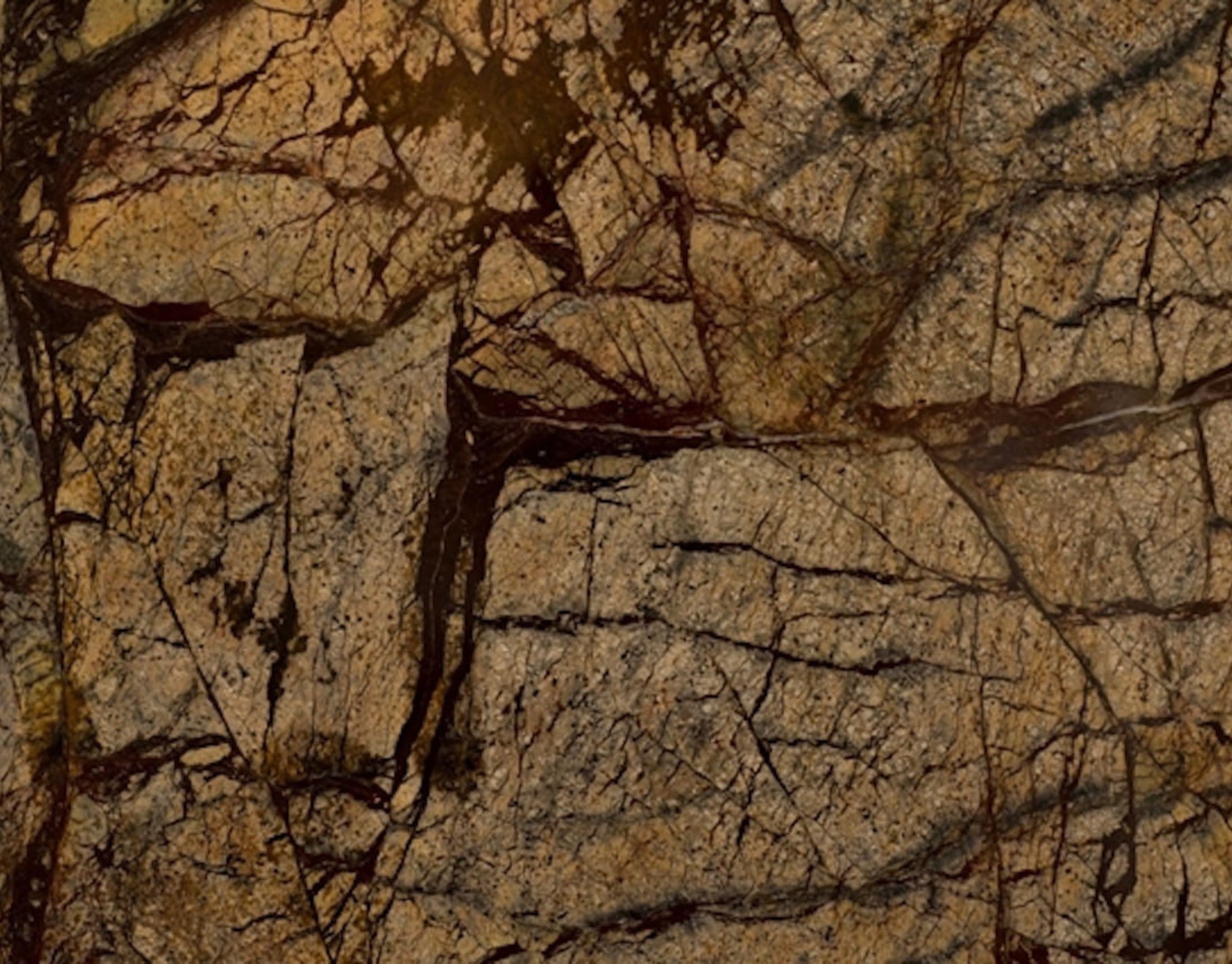 Forest Brown Marble